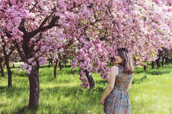 
Đất nước châu Mỹ khoác lên mình tấm áo hồng dịu dàng chẳng khác xứ sở phù tang Nhật Bản.
