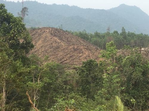 
Hiện trạng một khoảnh rừng ngay sát khu thi công dự án cáp treo Yên Tử tại huyện Sơn Động. (Ảnh: Anh Thế)
