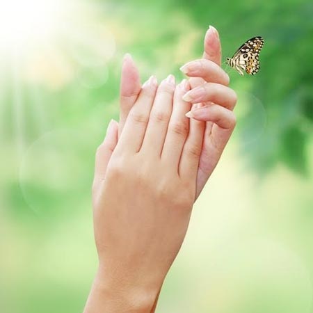 Cấu tạo kỳ diệu của đôi bàn tay - 1
Ảnh minh họa