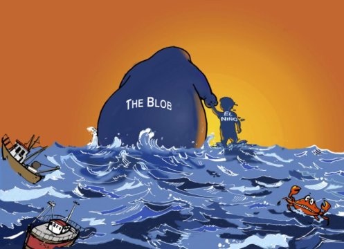 Sức tàn phá của “The Blob” còn khủng khiếp hơn El Nino - 1