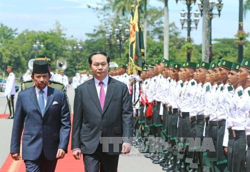 Lễ đón chính thức Chủ tịch nước Trần Đại Quang tại Brunei - 1 Chủ tịch nước Trần Đại Quang và Quốc vương Haji Hassanal Bolkiah Mu’izzaddin Waddaulah duyệt đội danh dự Quân đội Hoàng gia Brunei. Ảnh: Nhan Sáng/TTXVN