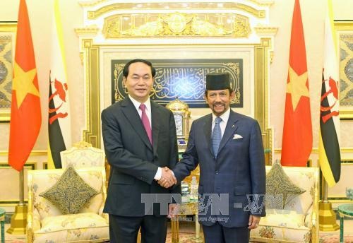 Tuyên bố chung Việt Nam - Brunei Darussalam - 1
Chủ tịch nước Trần Đại Quang hội kiến với Quốc vương Haji Hassanal Bolkiah Mu’izzaddin Waddaulah. Ảnh: Nhan Sáng/TTXVN