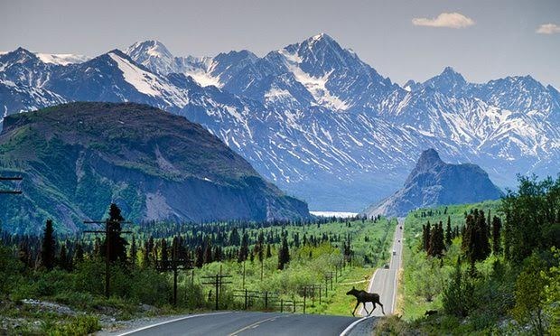 Vợ chở xác chết của chồng đi "phượt" - 1