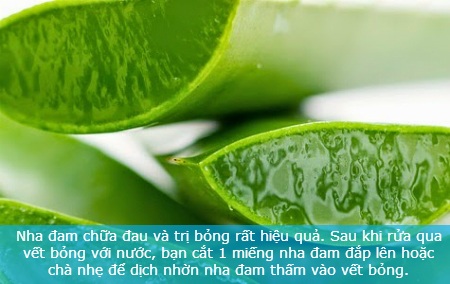 Mẹo chữa bỏng nhẹ nhờ nguyên liệu tự nhiên - 5 Mẹo chữa bỏng nhẹ nhờ nguyên liệu tự nhiên - 5