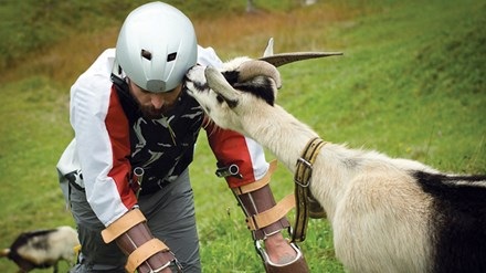 Ig Nobel 2016: Mặc quần cho chuột, biến mình thành dê - 1
Ông Thomas Thwaites đi lại, ăn uống như con dê. Ảnh: Tim Bowditch