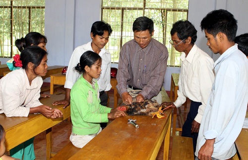 Thất nghiệp nhưng... ngại học nghề - 1 Dạy nghề chăn nuôi thú y cho lao động nông thôn. Ảnh: Hữu Việt - TTXVN
