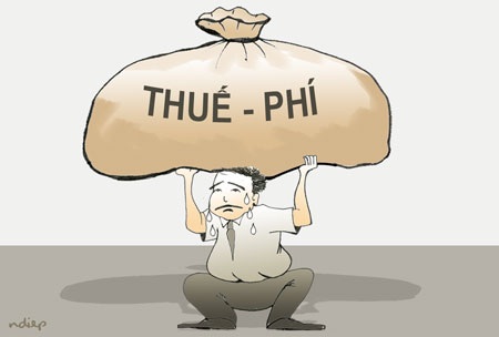 Nghĩ về việc truy thu thuế doanh nghiệp “khủng” HABECO, SABECO - 1
Minh họa: Ngọc Diệp