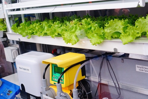 
Các loại máy móc được thiết kế để mọi dữ liệu về cây trồng được lưu trữ trên hệ thống đám mây, giúp người trồng có thể nắm được mọi thông số của cây.
