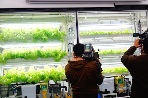 
Trung tâm Hợp tác Nông nghiệp thông minh FPT - Fujitsu tại Viện nghiên cứu rau quả, Trâu Quỳ - Gia Lâm, Hà Nội vừa chính thức mở cửa để giới thiệu về công nghệ trồng rau sử dụng điện toán đám mây. Với sự hỗ trợ từ Nhật Bản, Trung tâm này đã bắt đầu những bước đi đầu tiên trong kế hoạch thử nghiệm đưa nông nghiệp thông minh về Việt Nam.
