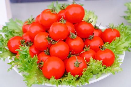 
Dự kiến, sau giai đoạn thử nghiệm, FPT và Fujitsu sẽ thống nhất mô hình phù hợp để các doanh nghiệp, tổ chức có thể cùng hợp tác triển khai rộng rãi tại Việt Nam.
