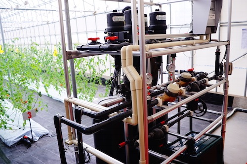 
Tại nhà máy rau và nhà kính đều được đặt nhiều máy cảm ứng để đo các dữ liệu môi trường, như nhiệt độ, độ ẩm, khí CO2 theo giời gian thực.
