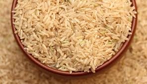 Trồng lúa nhiễm gen người để tạo ra dược phẩm - 1 Trồng lúa nhiễm gen người để tạo ra dược phẩm - 1