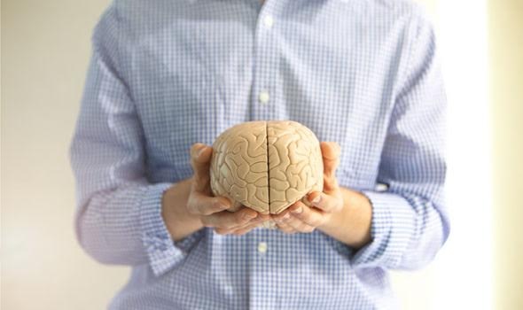 Cấy ghép não người để "trường sinh bất lão" - 1 Cấy ghép não người để "trường sinh bất lão" - 1