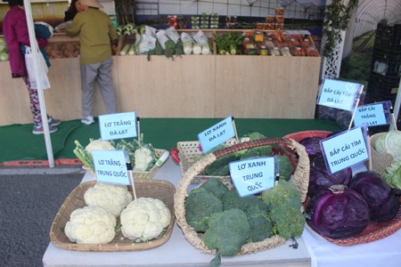 
Súp lơ trắng Đà Lạt mặt bông lồi lõm, màu trắng vàng, có cuống dài còn&nbsp; súp lơ trắng Trung Quốc mặt bông đều, cứng, màu trắng sáng…
