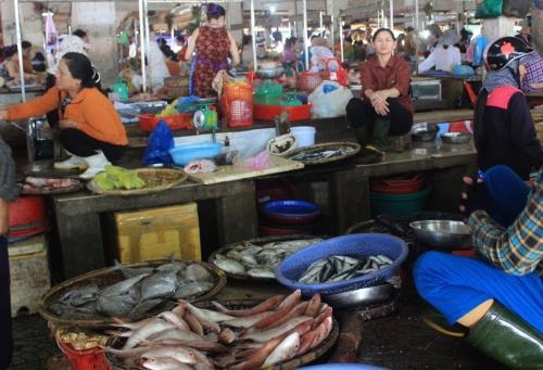 Bộ Y tế khuyến cáo không sử dụng một số hải sản miền Trung - 2
Nhiều loại hải sản được khuyến cáo không nên sử dụng (Ảnh minh họa: Nguyễn Tuyền)