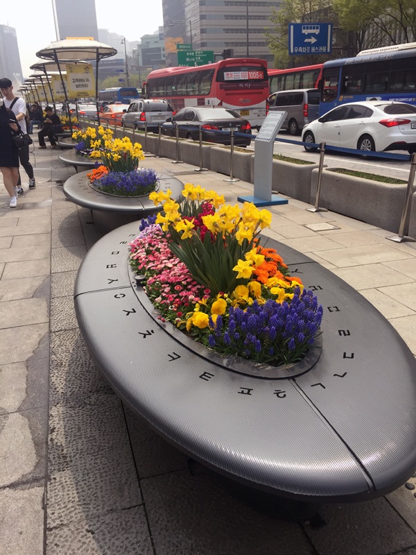 
Mùa này là mùa trăm hoa đua nở ở xứ Hàn, bên các ghế ngồi ngoài trời, hoa cũng được trồng tạo cảm giác rất dễ chịu. Hoa thủy tiên vàng cũng đang mùa nở rộ...
