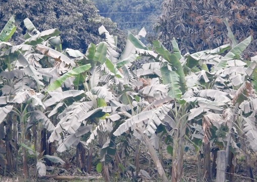 
Công ty CP xi măng Bắc Giang vừa bị xử phạt 350 triệu đồng vì gây ô nhiễm môi trường.
