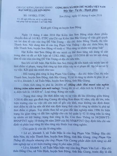 Cơ quan công an điều tra vụ gia đình chủ tịch thị trấn phá hàng chục nghìn m2 rừng - 2