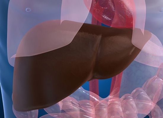 Hiểu đúng về việc tẩy độc cơ thể - 2 Hiểu đúng về việc tẩy độc cơ thể - 2