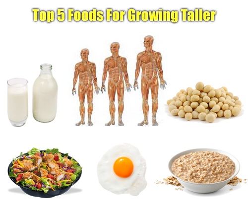 TPCN cải thiện chiều cao Taller Max có giá bao nhiêu? - 3 Sản phẩm tuyệt đối an toàn, không gây tác dụng phụ. Mỗi ngày bạn nên ngậm 2 lần, mỗi lần 1 viên, kiên trì sử dụng trong thời gian từ 2 - 6 tháng sẽ giúp bạn tăng chiều cao hiệu quả.