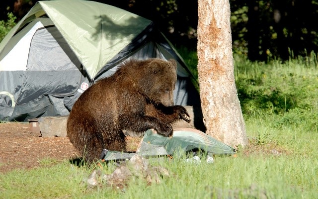 Hết hồn với những trò chơi chỉ dành cho du khách “không sợ chết” - 11