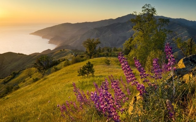 Những điểm đến lãng mạn nhất nước Mỹ - 1