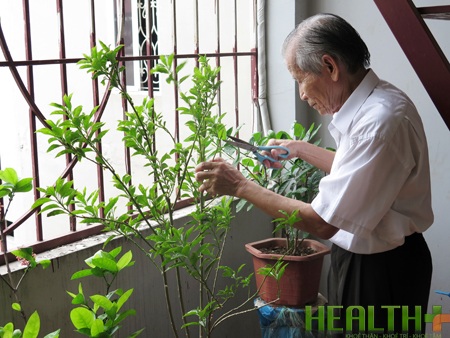 Giữ hay chia sẻ bí mật về bệnh Parkinson? - 2 Bệnh parkinson thuyên giảm, ông Dương tự tay chăm sóc cây cảnh (nguồn healthplus.vn)