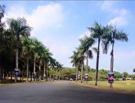 280 tay gôn trên toàn quốc đã sẵn sàng khởi tranh cúp TPHCM mở rộng - 3 280 tay gôn trên toàn quốc đã sẵn sàng khởi tranh cúp TPHCM mở rộng - 3