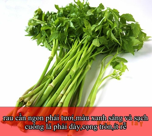 Bí quyết chọn rau củ “ngon và lành” cho các bà nội trợ - 4 Bí quyết chọn rau củ “ngon và lành” cho các bà nội trợ - 4
