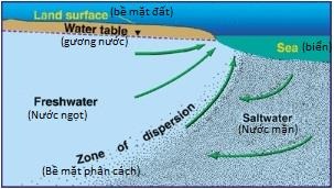 Sự dịch chuyển của khối nước mặn vào tầng nước ngọt. Nguồn: EOE (2012)