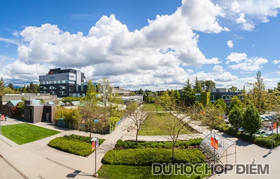 Du học trường công lập hàng đầu Vancouver dễ dàng với visa CES - 1