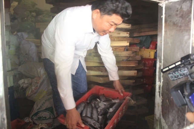 Quảng Trị: Người dân phập phồng lo lắng sau vụ cá nhiễm chất cực độc - 4 Cơ sở của anh Sơn hiện còn khoảng 80 tấn cá trong kho đông lạnh chưa thể tiêu thụ