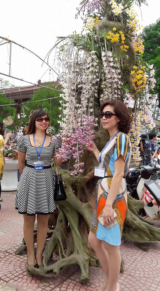 
Triển lãm phong lan do Hội hoa lan Thành Đông (Hải Dương) tổ chức được quảng bá, chia sẻ rất nhiều thông qua mạng xã hội Facebook nên thu hút hàng nghìn người đến xem
