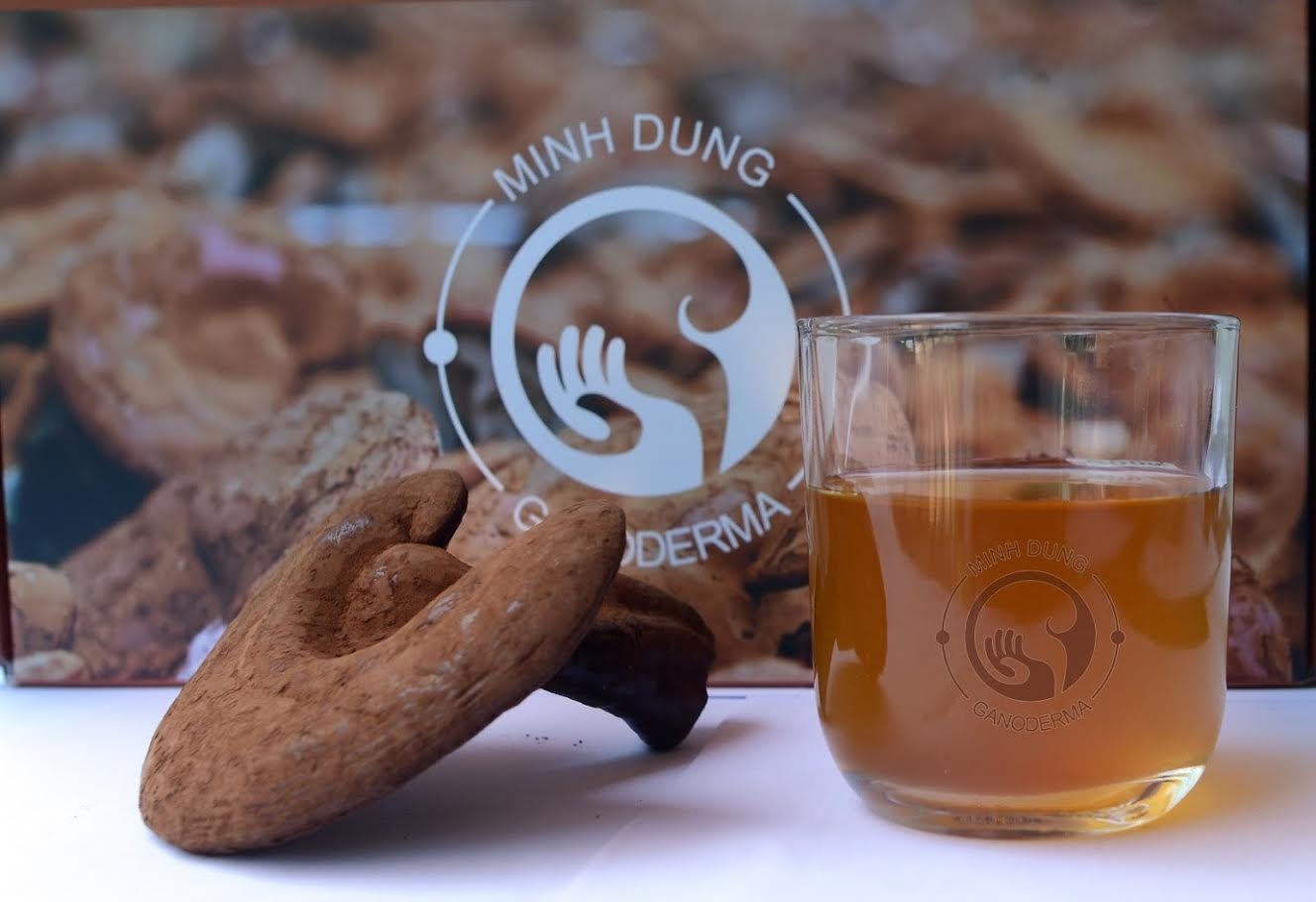Công dụng nấm linh chi và những điều cần biết - 2 Công dụng nấm linh chi và những điều cần biết - 2