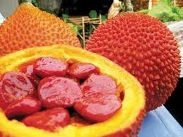 Muốn mắt khỏe, nhớ bổ sung Viên nang dầu gấc VINAGA - 2
Dầu gấc còn là dung môi giúp cho cơ thể hấp thu tốt hơn lượng Vitamin A ăn vào hằng ngày.