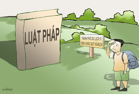 
(Minh họa: Ngọc Diệp)
