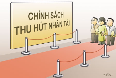 “Thảm đỏ”, “thảm xanh” đừng thành.... “thảm kịch”! - 1
(Minh họa: Ngọc Diệp)