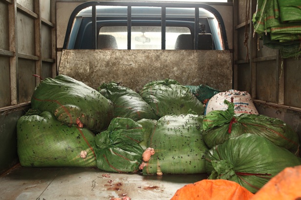 Hiện trường khi thu giữ