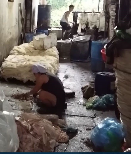 Thực phẩm bẩn - người dân đang bị “đầu độc” bởi sự vô cảm của các cơ quan quản lý? - 2
Những hình ảnh kinh dị về chế biến thực phẩm từ thịt ôi thối ở làng Bình Lương, xã Tân Quang, huyện Văn Lâm, tỉnh Hưng Yên