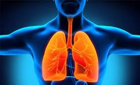 
Bổ sung vitamin từ tự nhiên là 1 trong những cách tốt nhất để bảo vệ phổi của bạn.
