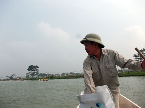 Mỗi năm bỏ túi hơn trăm triệu đồng từ nuôi cá an toàn - 1 Anh Chu Văn Hồng đang chăm sóc đàn cá. Ảnh: T.P