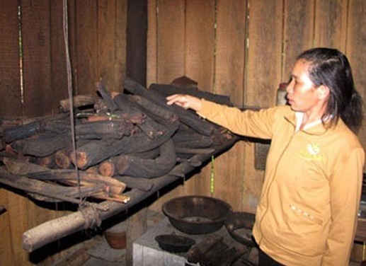 Chuyện ít biết về một miền gái đẹp - 1 Cây cỏ máu được người dân cất giữ. Ảnh: T.Q.N.