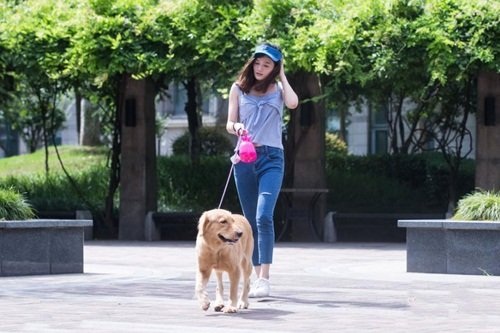 Nữ sinh kiếm bộn tiền nhờ nghề dắt chó thuê - 1 Nữ sinh kiếm bộn tiền nhờ nghề dắt chó thuê - 1