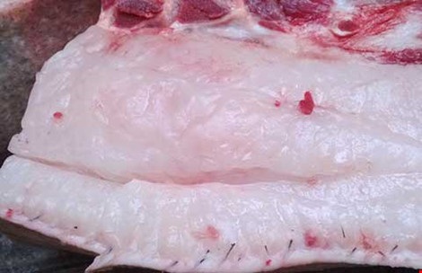 Có nên cho trẻ ăn mỡ động vật? - 1 Có nên cho trẻ ăn mỡ động vật? - 1