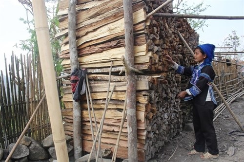 Kỳ lạ nơi con dâu không được ngồi cùng mâm, đi cùng xe với bố chồng - 1 Bên nhà người Hà Nhì luôn có những đống củi to dự trữ cho mùa đông do phụ nữ lấy.