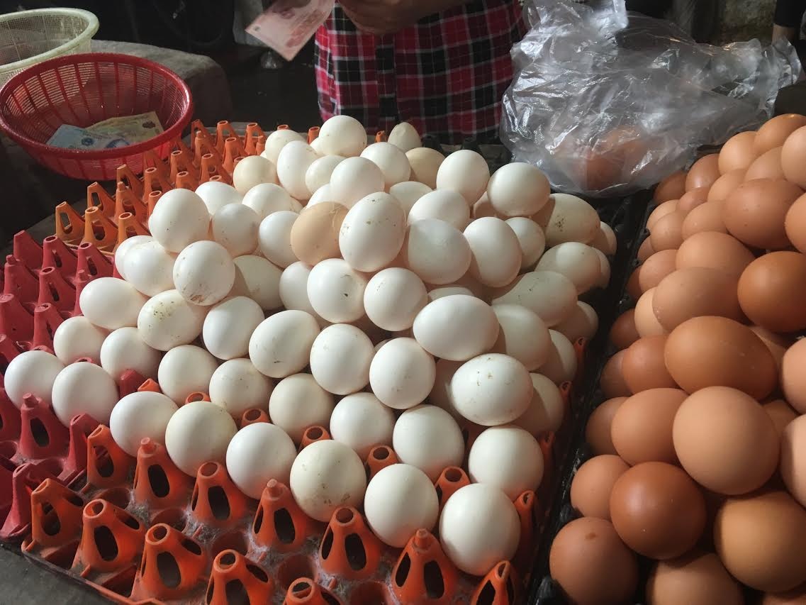 Bí ẩn nguồn gốc trứng gà ta giá rẻ bán đầy chợ - 1
Trứng gà ta giá rẻ được bán tràn lan ở chợ Hà Nội
