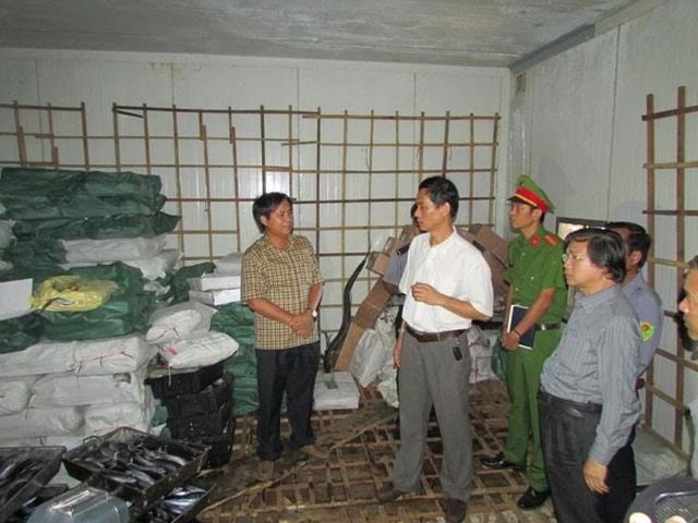 
Cơ quan chức năng tỉnh Quảng Trị niêm phong kho đông lạnh chứa 30 tấn cá có mẫu phẩm nhiễm Phenol của một hộ kinh doanh.
