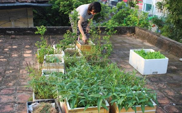 Bác sĩ thổi bay ung thư phổi: Rảnh là thiền - 1