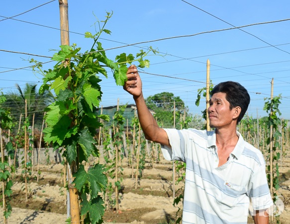 Đột nhập vào "thủ phủ" của "nữ hoàng" trên vùng đất nắng - 1 Đột nhập vào "thủ phủ" của "nữ hoàng" trên vùng đất nắng - 1