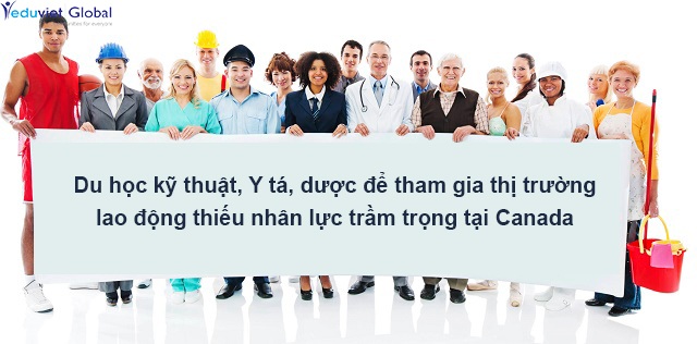 Du học ngành kỹ thuật, dược và điều dưỡng tại Canada theo chương trình CES - 1 Du học ngành kỹ thuật, dược và điều dưỡng tại Canada theo chương trình CES - 1